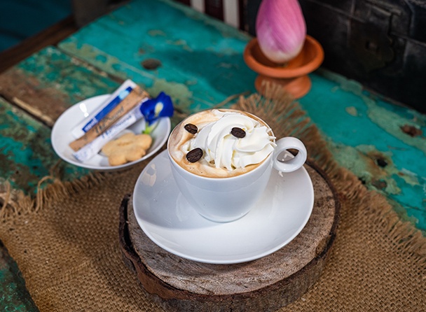 food-dish